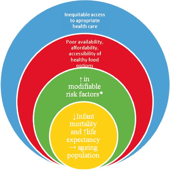 The determinants and the control strategies of the coronary heart disease epidemic. *Established modifiable risk factors include smoking, alcohol, physical inactivity, low consumption of fruits and vegetables, overweight and obesity, increased blood pressure, impaired fasting glucose and dyslipidaemia.
