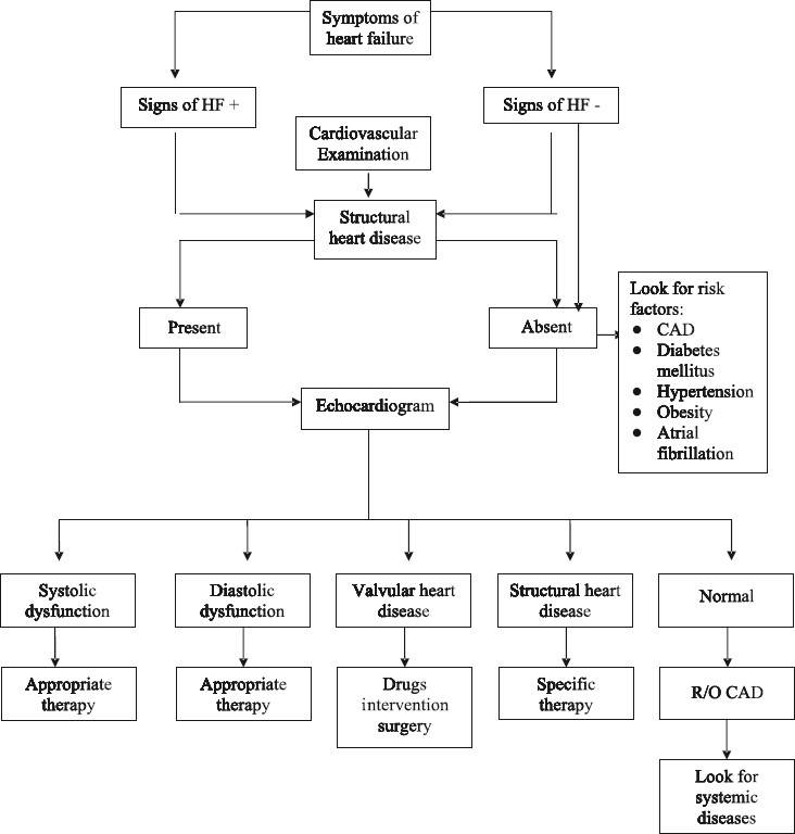 Algorithm for management of heart failure (HF).