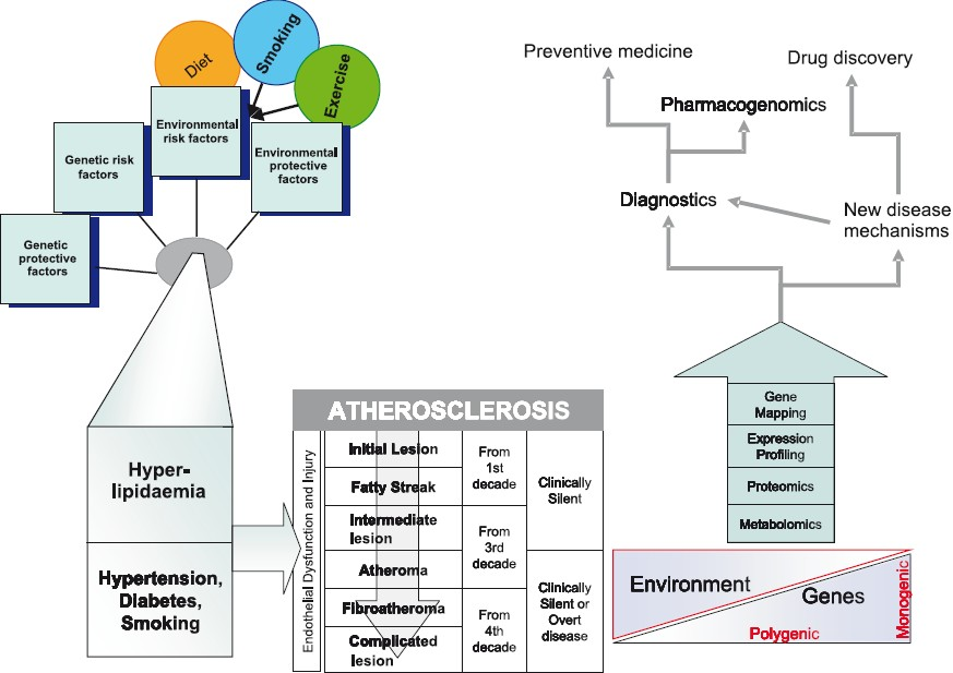 Integrating epidemiological and “Omics” strategies in a translational framework for coronary artery disease.