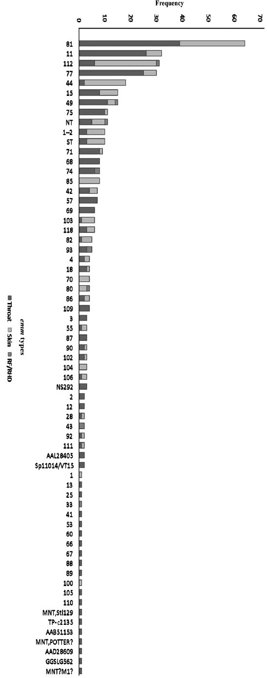 Distribution of emm types among north Indian group A streptococcus isolates.