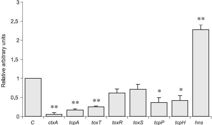 Effect of capsaicin on transcription of various regulatory and virulence genes in V. cholerae strain19. Transcription of virulence-related genes of V. cholerae O1 El Tor variant CRC41 strain was investigated by qRT-PCR assay in the presence of capsaicin (100 μg/ml). The relative transcription level of each gene was compared using recA gene as an internal control. ‘C’ indicates control value of target gene transcription without red chili methanol extract and capsaicin (arbitrarily taken as 1). Statistical significance of the observed differences was calculated using a two-sample t test. (*, P<0.05; **, P<0.01).