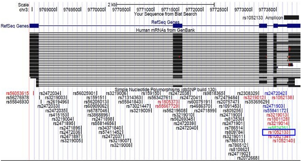 Pictorial representation of the human OGG1gene depicting exons, introns, alternatively spliced OGG1 mRNA sequences, SNPs in gene region and the PCR amplicon (rs1052133_Amplicon) used for the current study. [Figure generated using uCSC genome browser; the SNP investigated in the present study (rs1052133) is enclosed by a blue box].