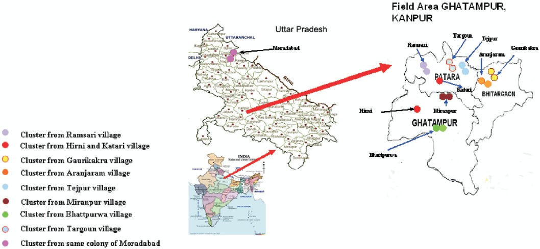 Distribution of clusters of M. lepraestrains from nothern India based on number of tandem repeats.