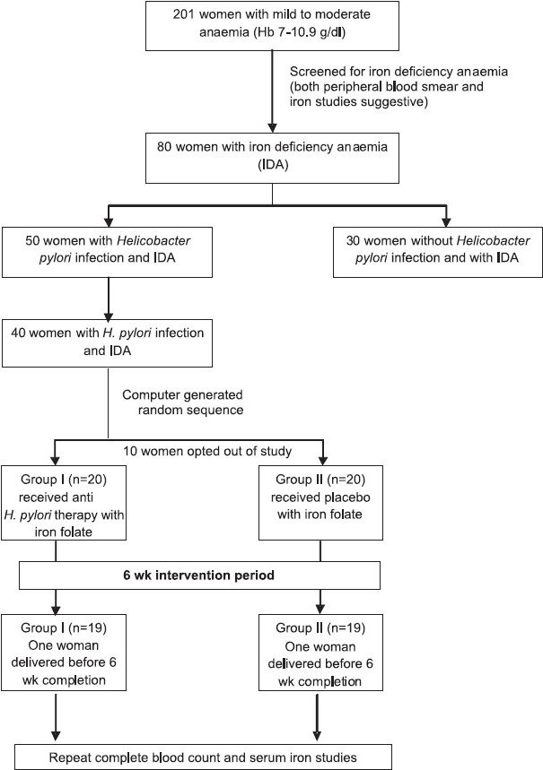 Flow chart showing study design.
