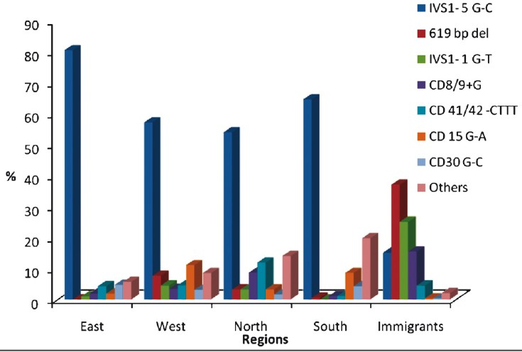 Regional distribution of β-thalassaemia mutation in India.