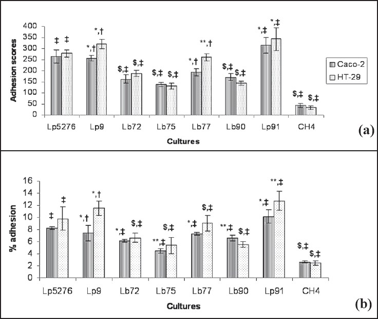 Adhesion of Lactobacillus strains to Caco2 and HT-29 cell lines. Lp5276 positive control. *There is no significant difference with positive control with in the cell line. **Significant difference from positive control (ANOVA pair-wise test, P<0.05). $Significant difference from positive control (ANOVA pair-wise test, P<0.01). #There is no significant difference when isolates were compared with two different cell lines. +Significant difference when isolates were compared with two different cell lines (ANOVA pairwise test, P<0.05).