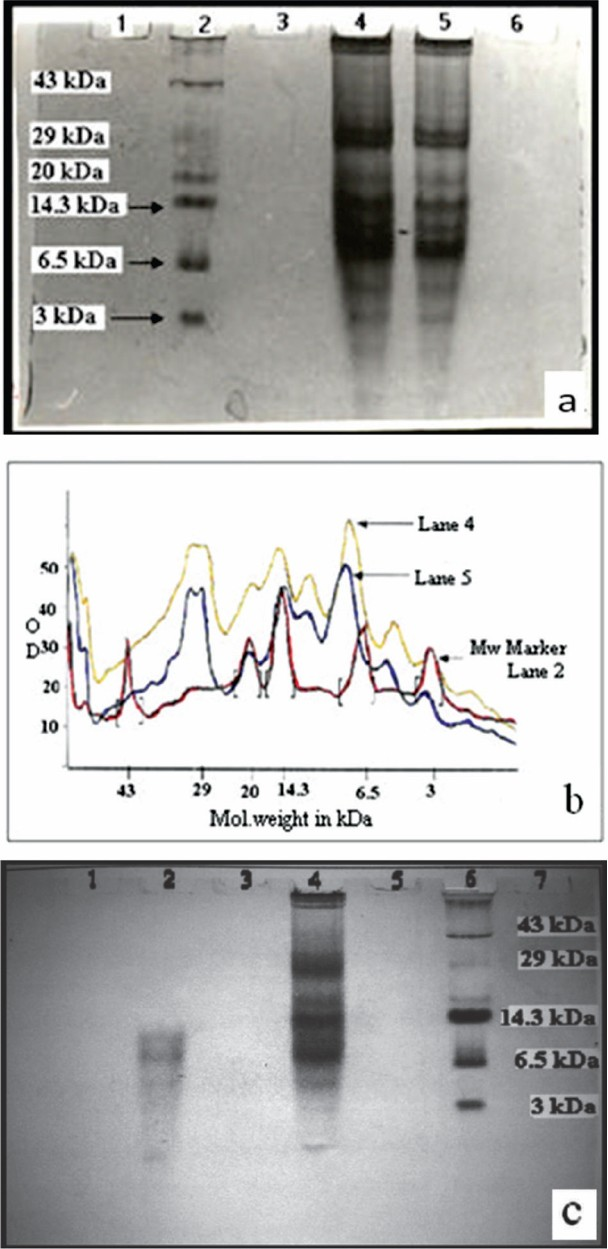 (a): AU-PAGE gel stained with Coomassie brilliant blue R-250. Lane 2 - low molecular weight marker (3-43 kDa), lanes 4 & 5 - acid extracted crude protein sample (250 μg & 200 μg/well respectively), lane 1, 3 & 6 were empty, (b): Protein profile analysis with Gel Pro analyzer software (Media Cybernetics, USA). Lane 2 (red)-low molecular weight marker (3-43 kDa), lanes 4 (yellow) and 5 (blue) - acid extracted crude protein samples (250 μg & 200 μg/well respectively), (c): AU-PAGE gel stained with Coomassie brilliant blue R-250. Lane 6 - low molecular weight marker, lane 2 - filtrate (< 10 kDa) and lane 4 - unfiltered protein sample. Lanes 1, 3, 5 and 7 were empty.