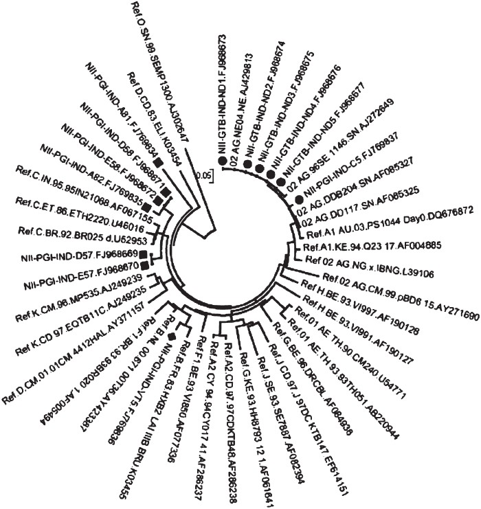 Radial phylogenetic analysis of the envelope sequences. Note the Indian CRF02_AG clustering with earlier described CRF_02AG strains. The other two clusters are B and C subtype-specific.