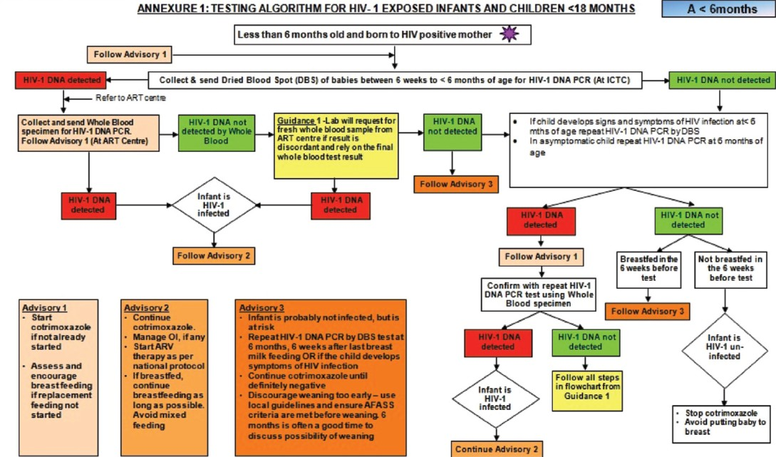 Early infant diagnosis (EID): Testing algorithm for HIV - 1 exposed infants < 6 months. Source: Ref 25.