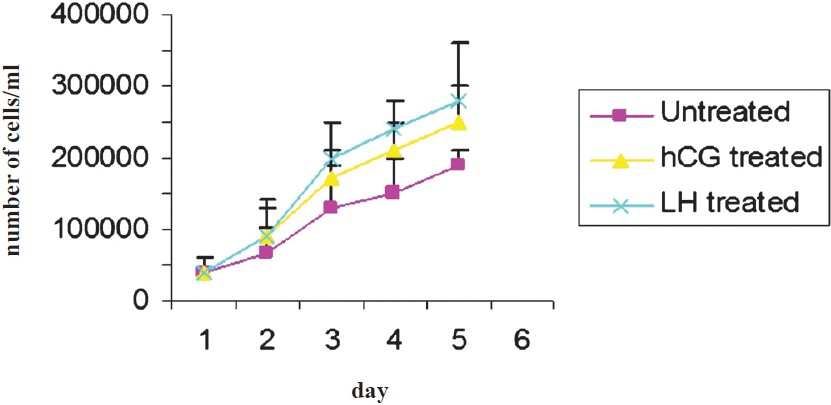 Effect of LH and hCG on cell proliferation and growth rate of granulosa cells in short term culture. Data expressed as mean ± SEM.