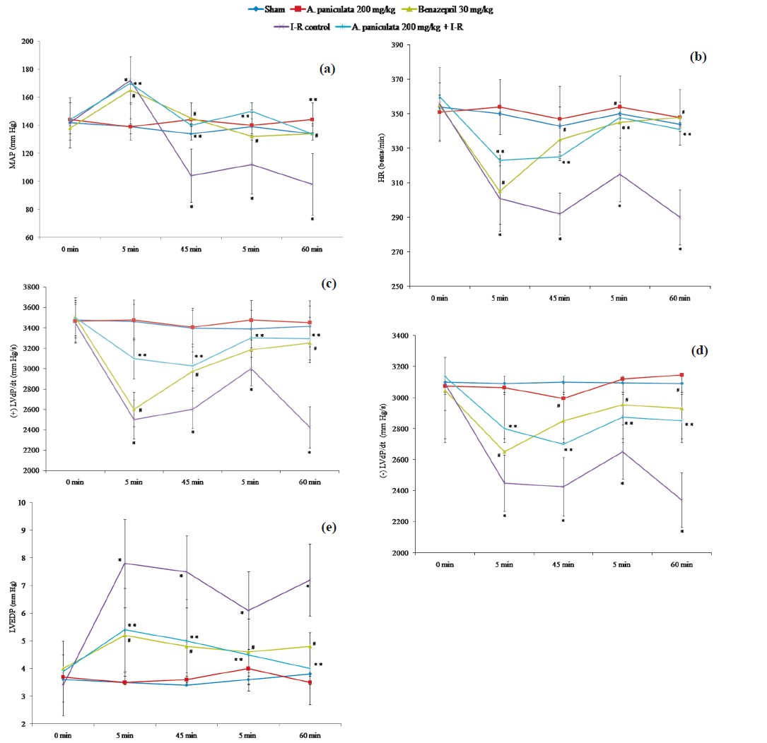 Effect of A. paniculata pretreatment on (a) mean arterial pressure (MAP), (b) heart rate (HR) (c) contractility [(+)LVdP/dt], (d) relaxation [(-)LVdP/dt], and (e) left ventricular end diastolic pressure (LVEDP) during ischaemia-reperfusion. N=8; values are mean ± SEM. *P<0.05, when compared to sham; **P<0.05, when compared to I-R control, #<0.05, when compared to I-R control.