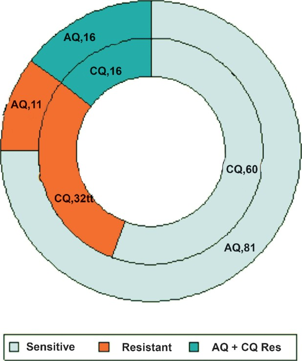 Cross-resistance between chloroquine and amodiaquine. CQ, chloroquine ; AQ, amodiaquine; figures succeeding drug name indicate number of isolates.