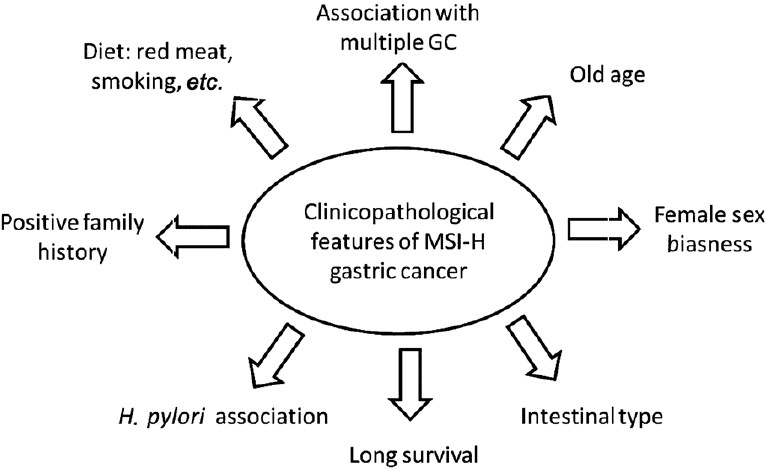 Various clinicopathological features associated with gastric cancer in MSI-H tumours.