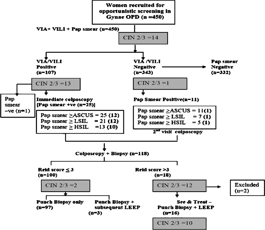 Algorithm: Study design and outcomes. The number of cases of high grade disease (CIN 2+) diagnosed on histology in each arm is shown in the shaded boxes. VIA, visual inspection with acetic acid; VILI, visual inspection with Lugol's iodine; CIN, cervical intraepithelial neoplasia; ASCUS, atypical squamous cells of undetermined significance; LSIL, low-grade squamous intraepithelial lesion; HSIL, high-grade squamous intraepithelial lesion.
