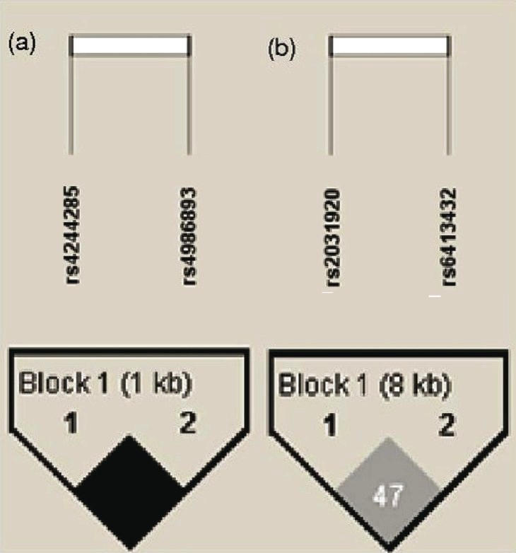 LD patterns of CYP2C19 and CYP2E1. (a) D’ based on CYP2C19*3 (rs4986893)with*2(rs4244285) among 142 individuals in cases; (b) D’ based on CYP2E1*-1053(rs2031920) with *7632 (rs6413432) among 142 individuals in cases.