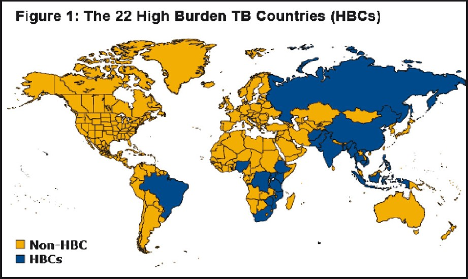 The 22 high burden TB countries in the word (Source: Kaiser Family Foundation, www.GlobalHealthFacts.org, based on WHO, Global tuberculosis control 2010, Slide Date: March 04, 2011; reprinted with permission from the Henry J. Kaiser Family Foundation, California, USA).