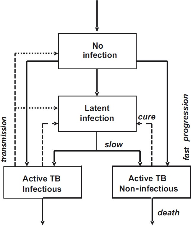 Stock and flow chart of the TB transmission model. Transmission (dotted arrow) drives the direction of movement (solid arrows) among exclusive groups of uninfected and infected people. Infection can progress quickly to active infectious or non-infectious TB, or slowly via a subclinical or latent state. Patients with active TB who are successfully diagnosed and treated are returned to the latent state (dashed arrows); otherwise they persist in the population with active disease, or die. Equations of the model are in the Annexure and parameter values are in the Table.