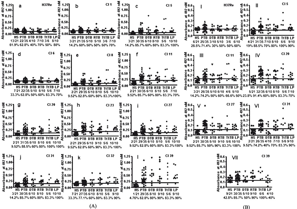 (A): Scatter diagram of IgG antibody response to whole cell extract from various selected clinical isolates with individual serum from different groups of patients [patients with fresh pulmonary tuberculosis (PTB), defaulter TB (DTB), relapse TB (RTB), treated TB (TtTB), and lepromatous leprosy patients (LP)] and controls (HS, healthy subjects) (b-l) in comparison with M. tuberculosis H37Rv (a). (B) Quantitative antibody responses of healthy subjects (HS) and different groups of patients (PTB, DTB, RTB, TtTB, LP) to culture filtrate proteins of M. tuberculosis (I-VII). Solid lines represent cut-off value decided by ROC analysis. CI, clinical isolates.
