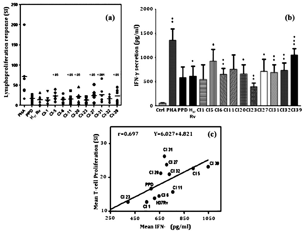 (a): Lymphoproliferation response of PBMCs derived from healthy individuals to culture filtrate proteins of clinical isolates, M. tuberculosis strain H37Rv, standard PPD and Mitogen phytohemagglutinin (PHA). Results are expressed as stimulation index (SI) and statistical significance was calculated using paired t-test by comparing the stimulation index values of H37Rv and clinical isolates, CI; clinical isolates of M. tuberculosis; bar represents the mean value of SI. (b). Cytokine IFN-γ secretion from PBMCs of healthy individuals following stimulation with culture filtrate protein preparations of clinical isolates, H37Rv, PPD and PHA. Bars represent means±standard errors of the means. CI; clinical isolates of M. tuberculosis.Statistical comparison between unstimulated and stimulated cells was performed using the paired t-test. *P<0.05. (c). Correlation of efficacies of different CFP preparations for T-cell proliferation and IFN-γ secretion assays. Mean for all culture filtrate protein (CFP) preparations in T-cell proliferation and IFN-γ secretion assays were determined and plotted against each other and Spearman correlation coefficient (r) is calculated. Y intercept is calculated taking X intercept=0.0.