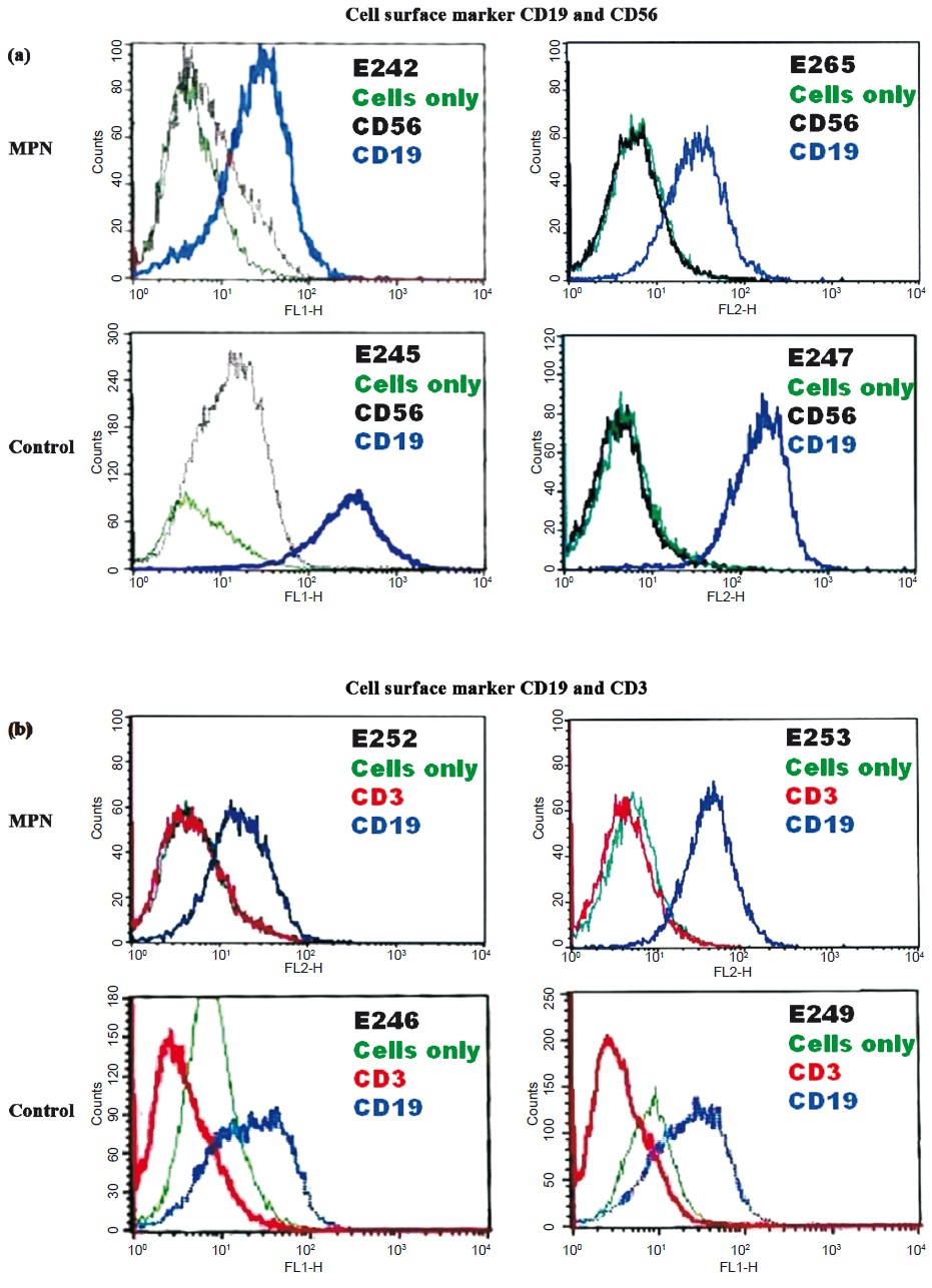 Flow cytometry analysis for cell surface markers - CD3 (T cell), CD19 (B cell) and CD56 (NK cell) in representative cell lines. Unstained cells were used as internal control. X-axis represents the fluorescence intensity. A forward shift in the peak, caused by binding of fluorophore tagged antibody, as compared to unstained cell is considered positive (a) LCLs E242, E265, E245 and E247 were positive for CD19 and negative for CD56 marker while (b) LCLs E252, E253, E246 and E249 were positive for CD19 and negative for CD3 marker.