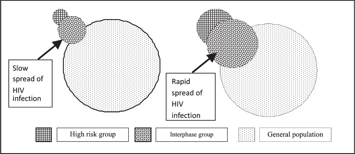 Spread of HIV infection in population.