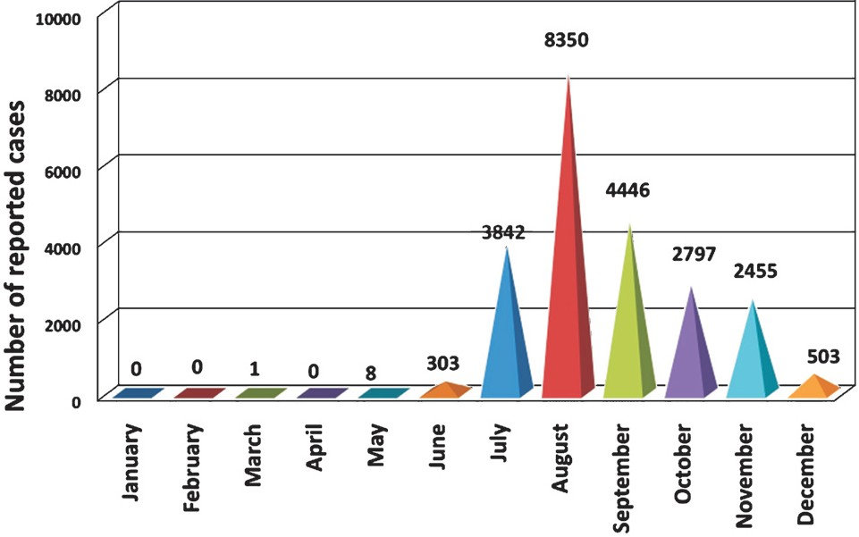 Total number of reported dengue cases, by month (January to December), Dhaka city, 2000-2008 (n = 22,705)