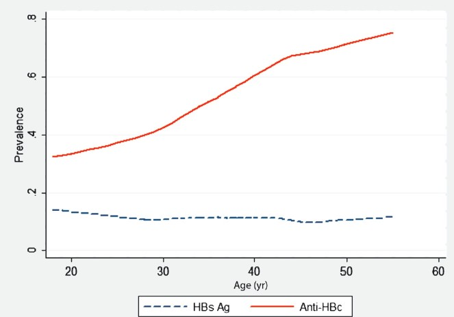 The age profile for HBsAg and anti-HBc positive individuals established using the lowess smoother function in Stata.