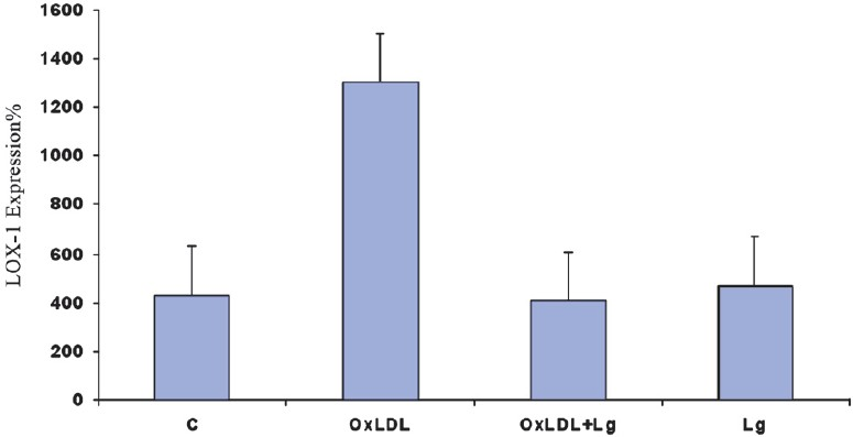 Semi-quantitative RT-PCR analysis of LOX-1 gene after endothelial incubation with ox-LDL and Lisosan G.