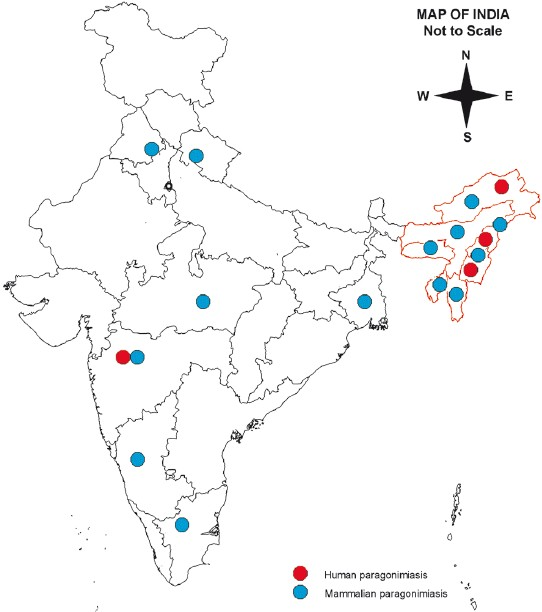 Geographical distribution of paragonimiasis in India.