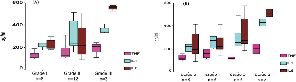 Box plots of pro-inflammatory cytokines levels in NAFLD patients as per histological grades (A) , and stages of fibrosis (B). The level of IL-6 was significantly (P<0.05) higher among patients with grade III histology than grade I and grade II disease. Only IL-6 revealed a significantly (P<0.05) higher levels in patients with stage 3 fibrosis compared to stage 0.
