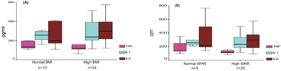 Pro-inflammatory cytokines in relation to (A) BMI, and (B) Waist-hip ratio (WHR). No significant differences were observed between the subgroups.