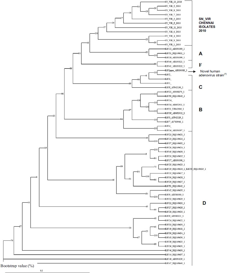 Phylogenetic analyses of the isolates from patients with keratoconjunctivitis in Chennai. The 916 bp sequence of a partial hexon gene of the representative isolates were analyzed together with all the 51 HAdV serotypes. The numbers at the nodes are percentages of 1,000 bootstrap pseudoreplicates containing the cluster distal to the node.
