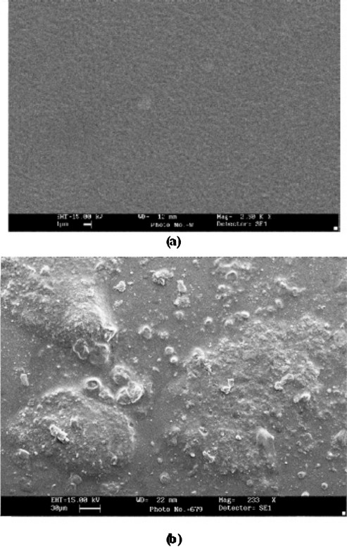 Scanning electron micrograph (SEM) of cholesterol oxidase bound epoxy resin membrane without enzyme (a) with immobilized cholesterol oxidase (b).