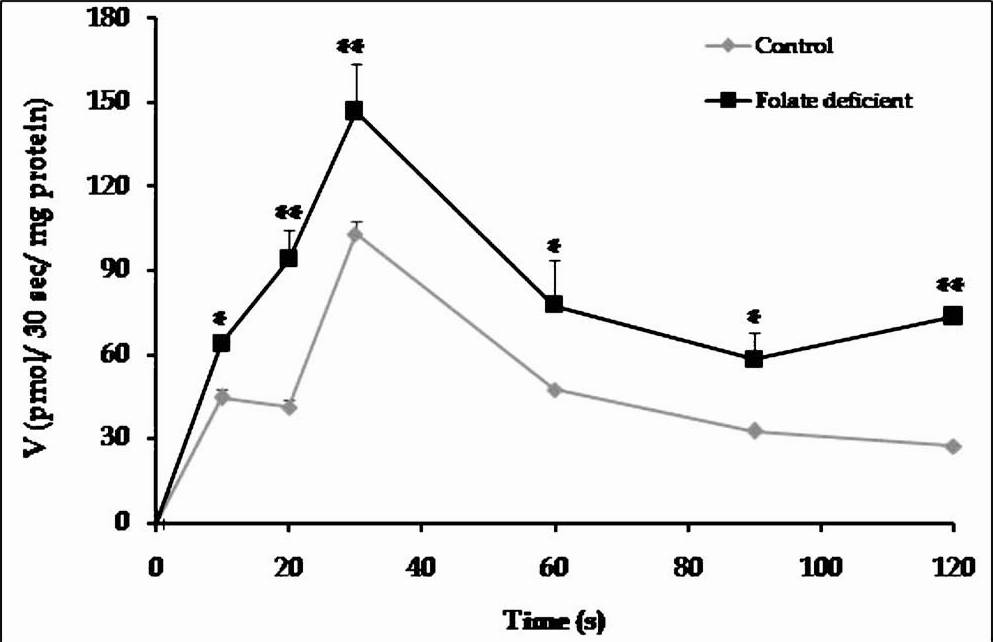 Time course of folate uptake in the intestinal brush border membrane vesicles (BBMV). Each point represents the mean ± SD of four determinations. P*<0.05, **<0.01 vs. control.