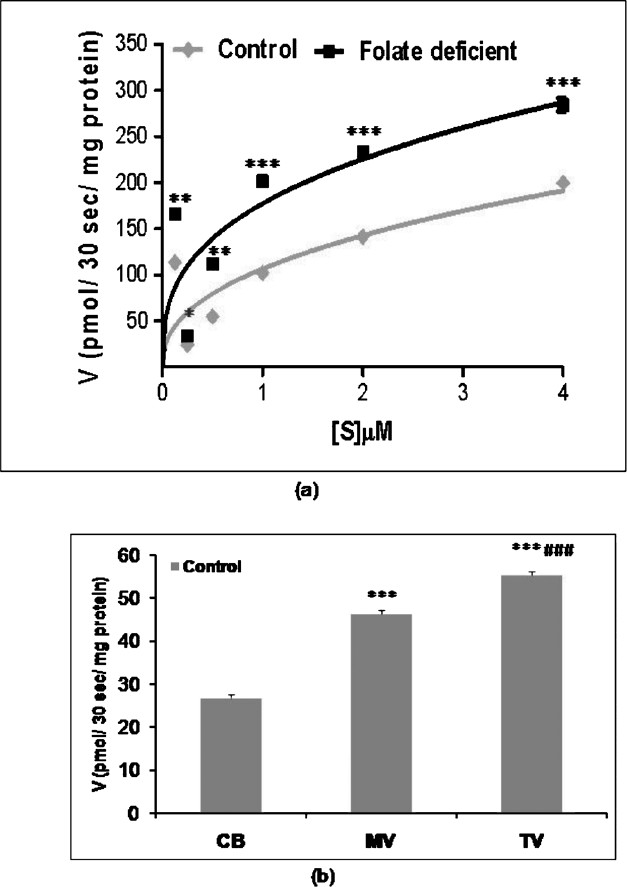 (a) Uptake of [3H]-folic acid in the intestinal BBM as a function of substrate concentration. (b) Uptake of [3H]-folic acid in the intestinal BBM along crypt-villus axis. Each data point is mean± SD of 4 separate uptake determinations. CB-crypt base; MV-midvillus and VT- villus tip. P*<0.05, **<0.0l, ***<0.001 vs. control and each value is mean ± SD of four separate uptake determinations. *, ***P<0.001 vs. crypt base, ###P<... vs. mid-villus.