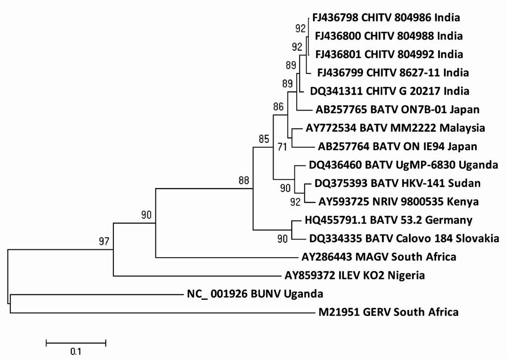 Phylogenetic tree of nucleotide sequences of CHITV and representative other BATV for complete M segment.
