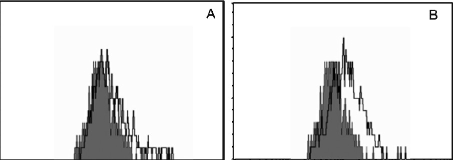 FACS analysis for apoptosis induction. HL60 cells were treated with isatin and stained with FITC-Annexin V. Shaded histograms represent cellular fluorescence of the control cells and open histograms represent the cellular fluorescence resulting from the specific binding of FITC-Annexin V to apoptotic cells. (A) Cell control, (B) isatin treated.