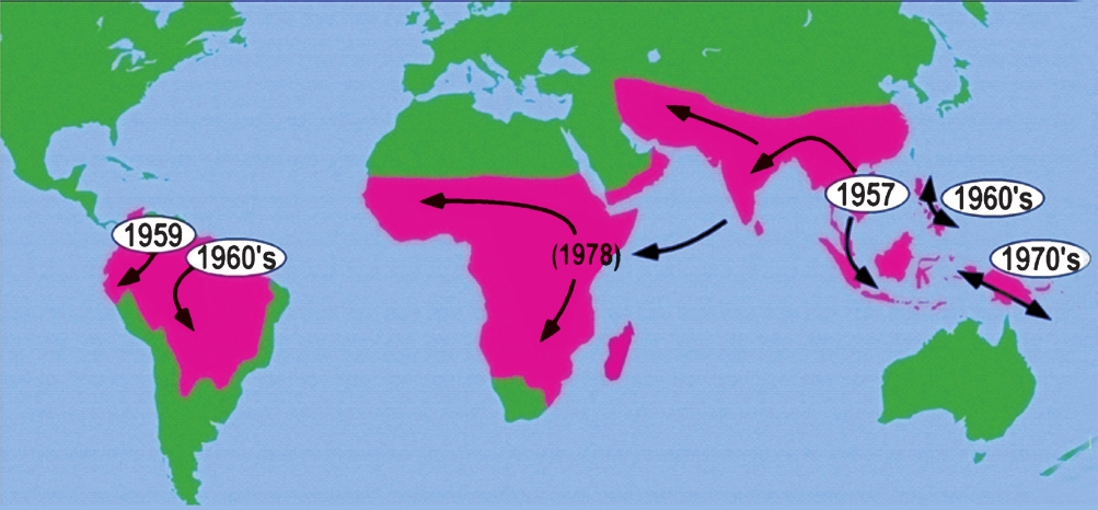 Chloroquine resistant P. falciparum originated from Thai Cambodia border in South East Asia region and spread worldwide from at least six known origins50.
