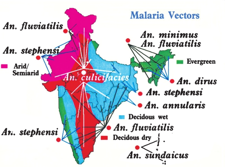 Distribution of major malaria vectors of India (Courtesy: NIMR, New Delhi) (Available from: http://www.mrcindia.org/contact.htm, assessed on May 13, 2012).