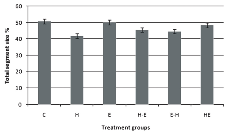 Western blot analysis of vimentin protein expression in gLECs after different treatments. The bands obtained were quantified using UN-SCAN-IT gel and the graph was plotted by comparing the per cent of total segment size in each treatment group. Groups as defined in Fig. 1. Values are mean ± SE (n=3).