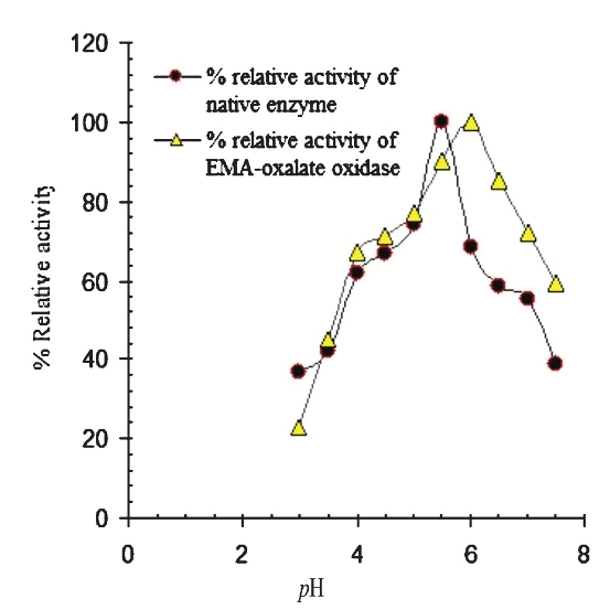 pH profile of native and EMA-oxalate oxidase purified from Bougainvillea glabra leaf.