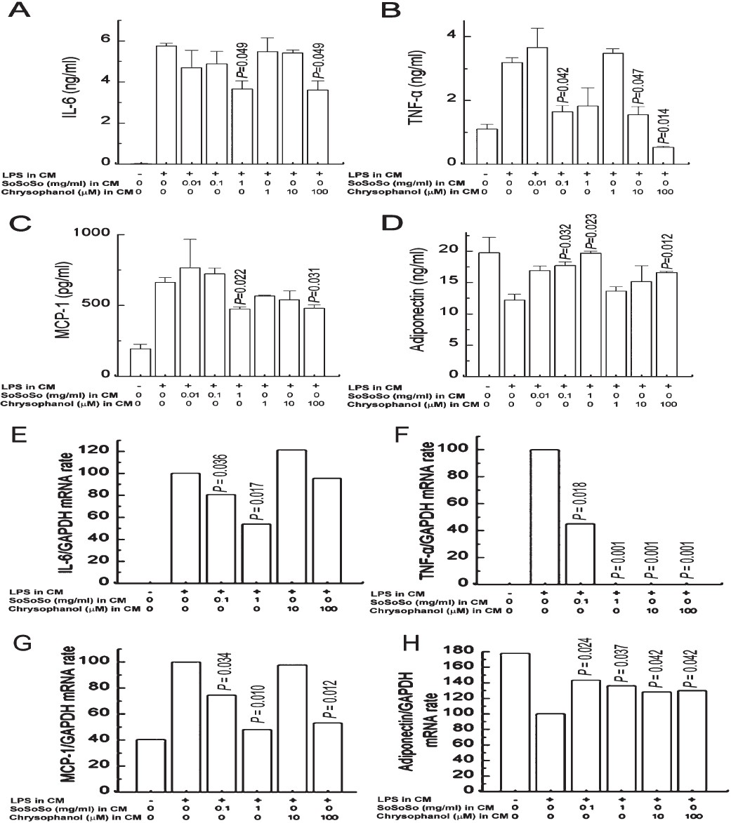 Inhibitory effect of SoSoSo or chrysophanol on the production and mRNA expression of IL-6, TNF-α, MCP-1, and adiponectin in CM-treated 3T3-L1 cells. 3T3-L1 adipocytes were treated with the CM of LPS-stimulated RAW264 cells for 24 h. RAW264 cells were pretreated with various concentrations of SoSoSo or chrysophanol and then stimulated with LPS for 24 h. (A) IL-6, (B) TNF-α, (C) MCP-1, and (D) adiponectin levels in the supernatant were measured with the ELISA method. Each value represents the mean ± S.E.M. of three independent experiments. (E) IL-6, (F) TNF-α, (G) MCP-1, and (H) adiponectin mRNA expression levels were quantitated with densitometry. The values from each treatment were expressed as a percentage relative to the control (CM of LPS-stimulated RAW264 cells; 100%).