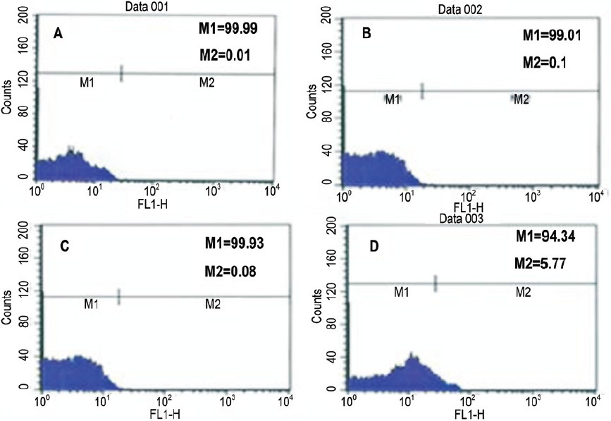 Immunophenotypic profiles of third passage cells on Day 3. A. Control B. CD45 showing negative phenotype C. CD14 showing negative phenotype and D. CD44 showing positive phenotype (M1/M2/M3/M4) are cell cycle phases (M2: G0-G1; M3: S; M4: G2-M.