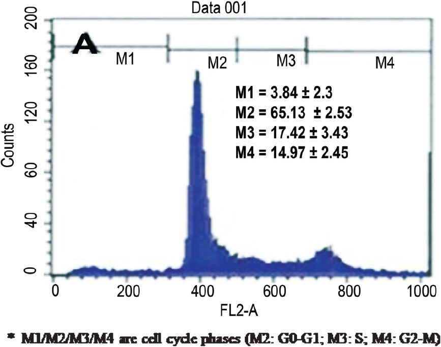 Cell cycle analysis of BMMSC culture on third day of culture.