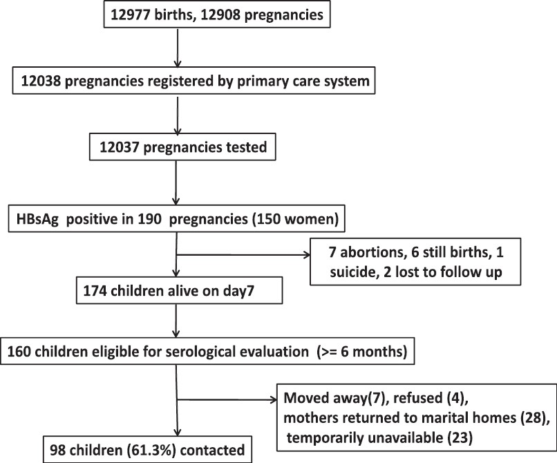 Flow chart of pregnancies in the rural project area (2002-2007) and children eligible for the serological evaluation.