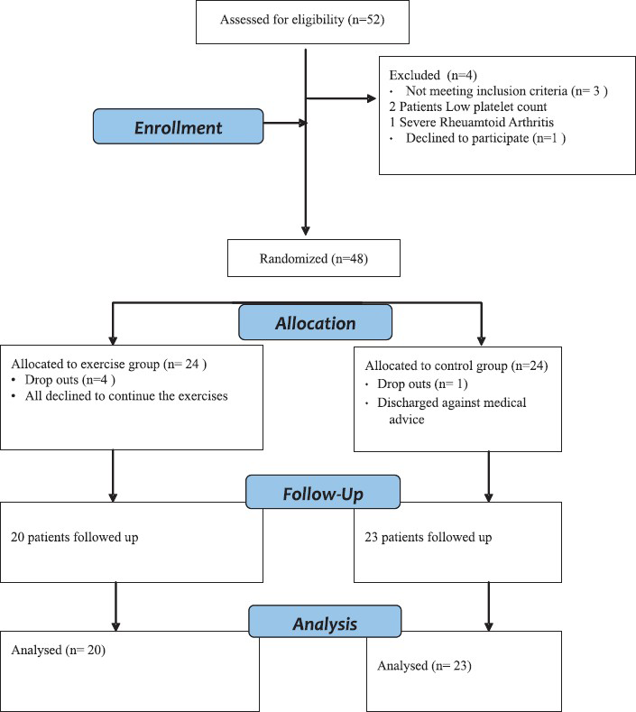 CONSORT flow chart for the study participants.