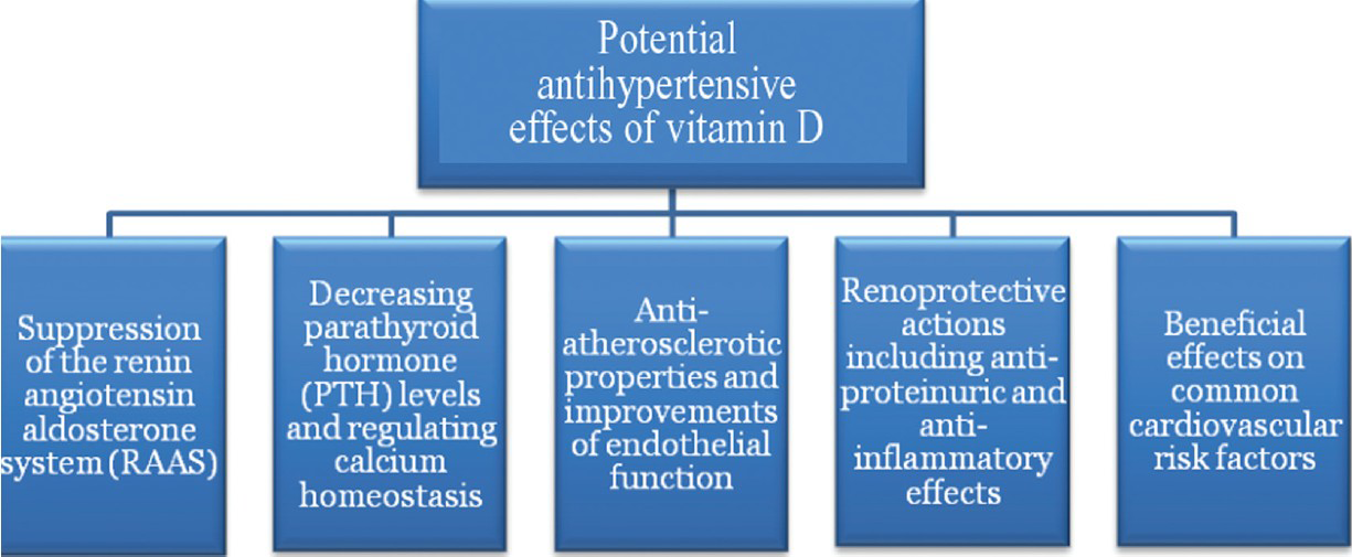 Potential antihypertensive effects of vitamin D.