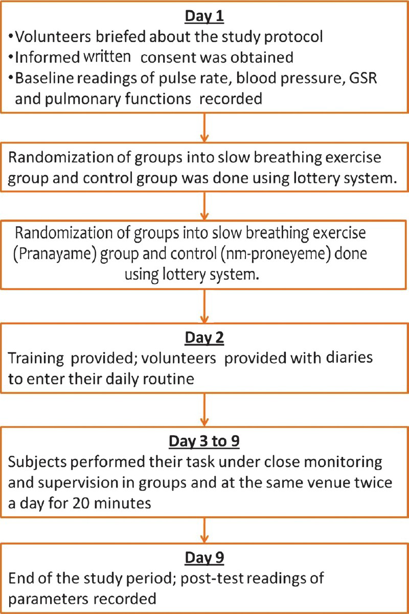 Flow diagram showing the study methodology.