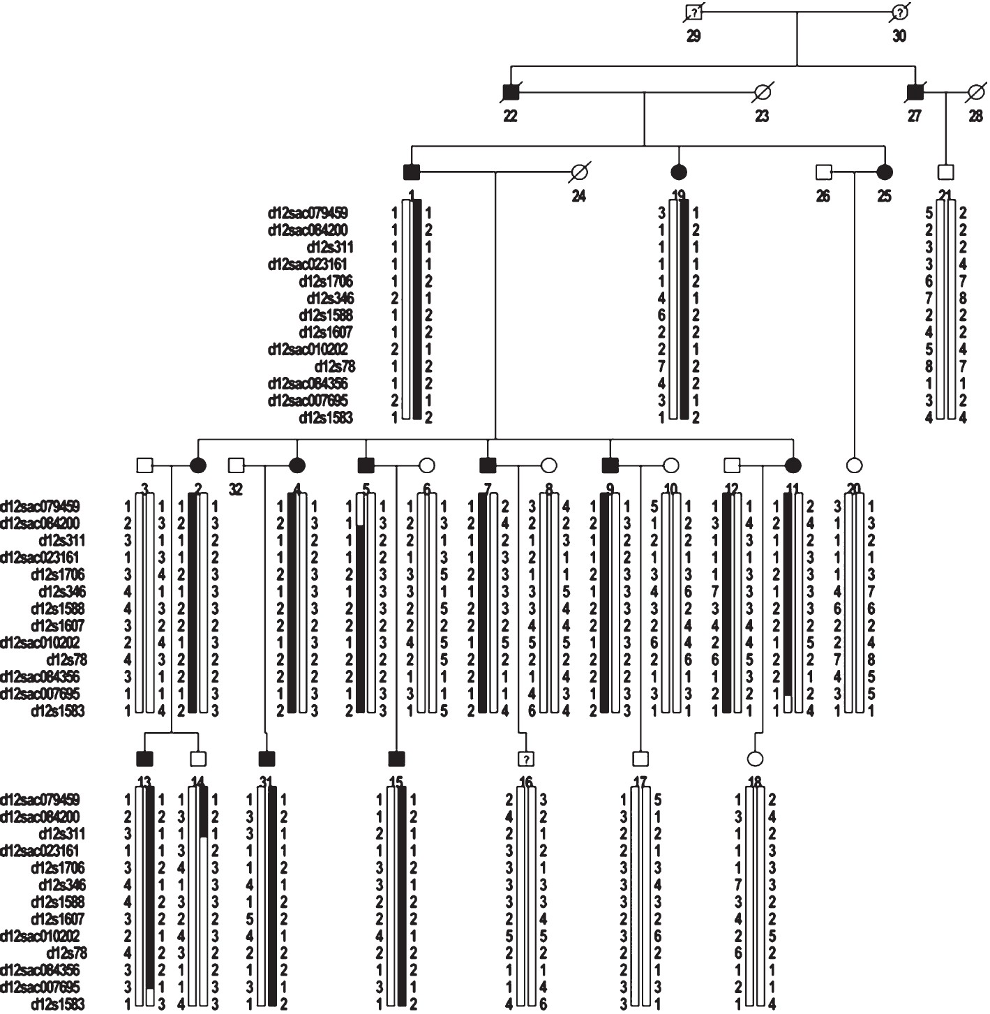 Pedigree structure and haplotypes for the EH-affected family.
