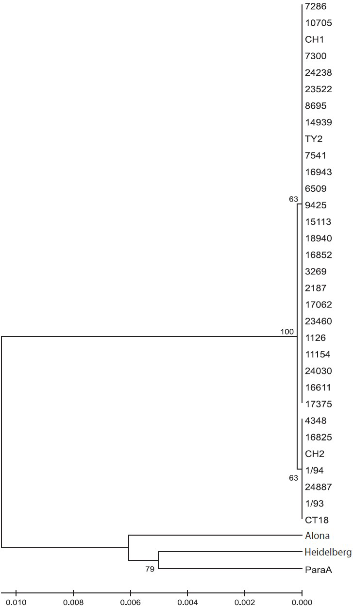 Genetic relationship as inferred using the UPGMA method. The optimal tree with the sum of branch length = 0.03227106 is shown. The percentage of replicate trees in which the associated taxa clustered together in the bootstrap test (1000 replicates) is shown next to the branches. The tree is drawn to scale, with branch lengths in the same units as those of the evolutionary distances used to infer the phylogenetic tree.